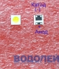  GM5F20BH20A / 3535 (6V / 1,2W)